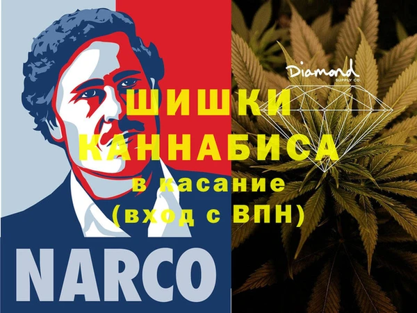 прущие грибы Майский
