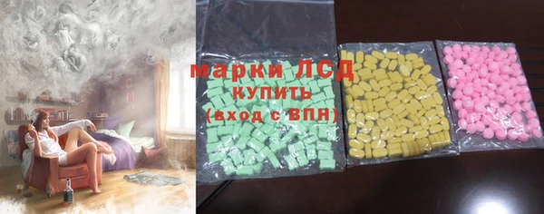 прущие грибы Майский