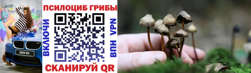 закладка  Кисловодск  МЕГА вход  Галлюциногенные грибы Magic Shrooms 