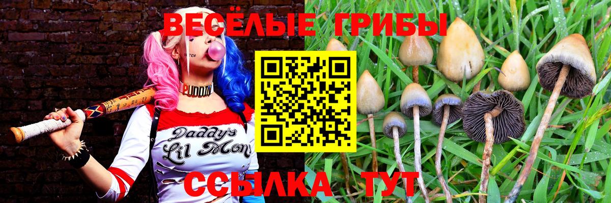 Псилоцибиновые грибы прущие грибы Кисловодск